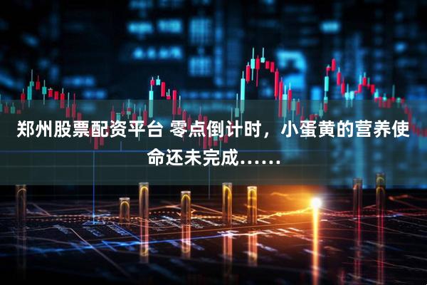 郑州股票配资平台 零点倒计时，小蛋黄的营养使命还未完成……